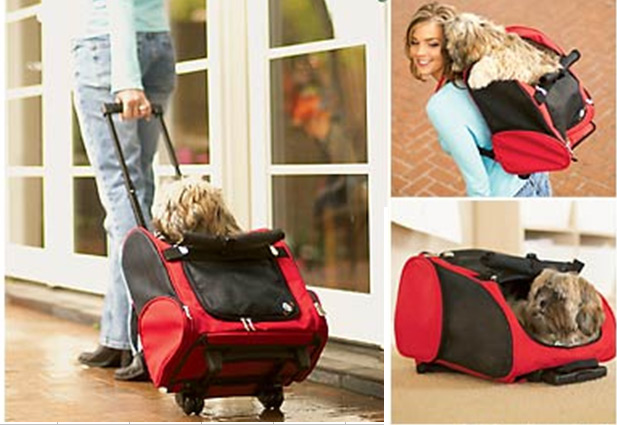 pet carrying bag 