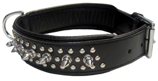 dog collars