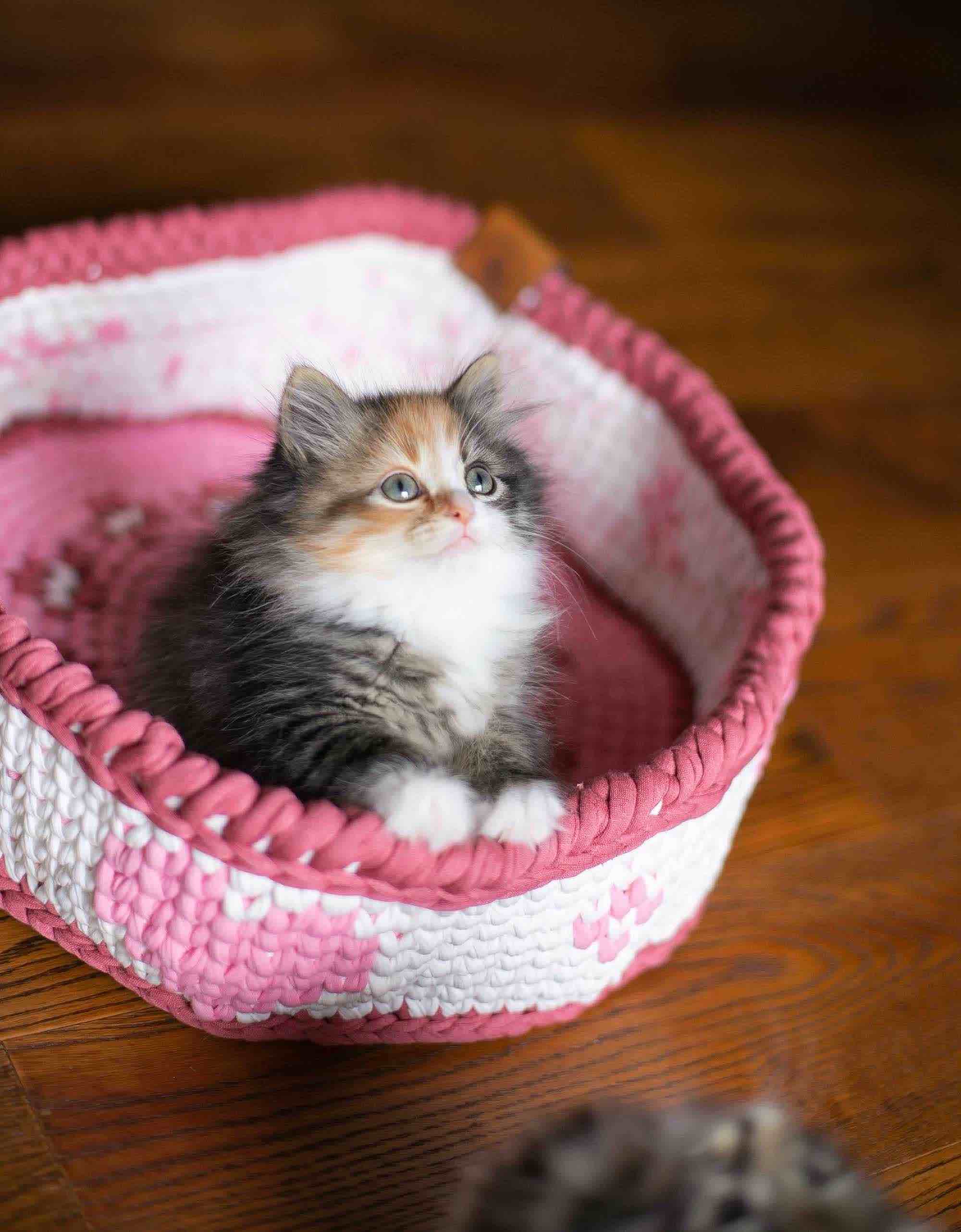 Pink Heart Basket