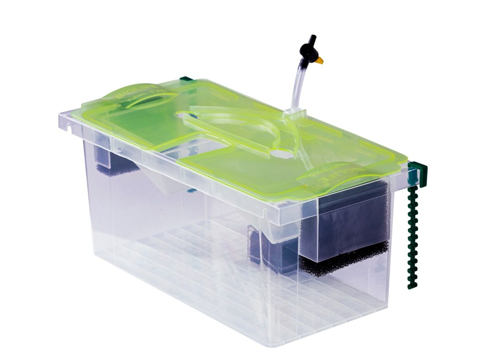 Biolife Fish Breeding Box